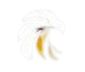 sitelogo